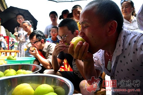 宣恩首届黄金梨采摘节圆满结束 