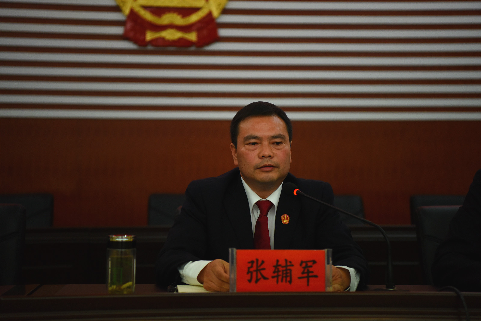 张辅军.jpg